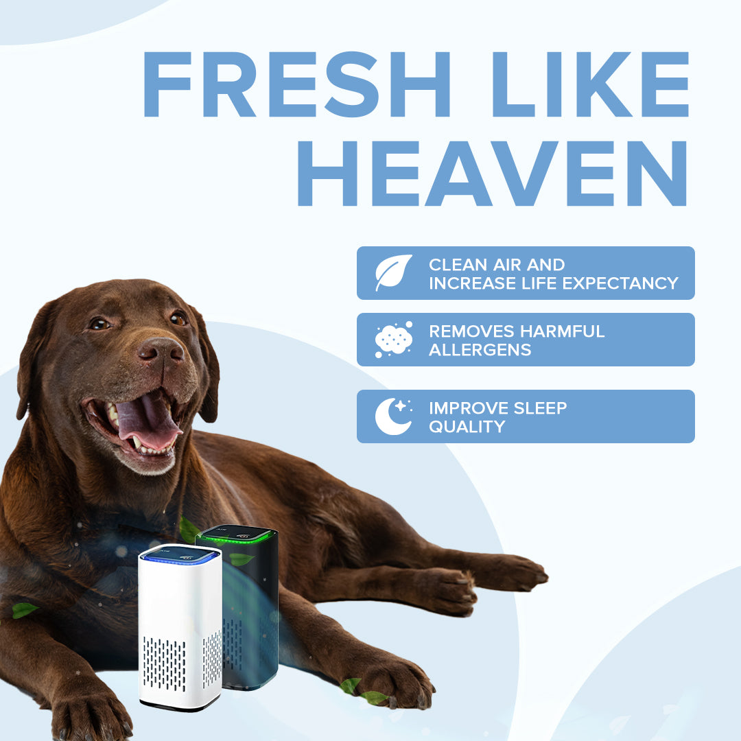 Pet Air Purifier