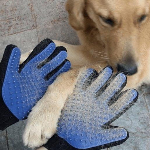 Grooming Pet Glove